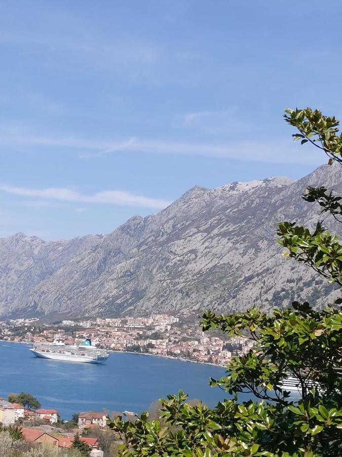 Dolce Casa Villa Kotor Exterior photo
